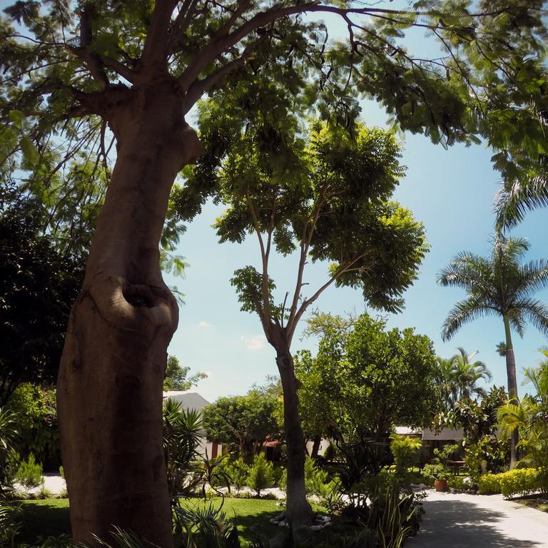 Suites La Flor Sagrada Xochitepec Exterior foto